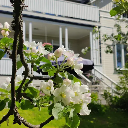 Ruustinnan Telttamajoitukset Saarijarvi